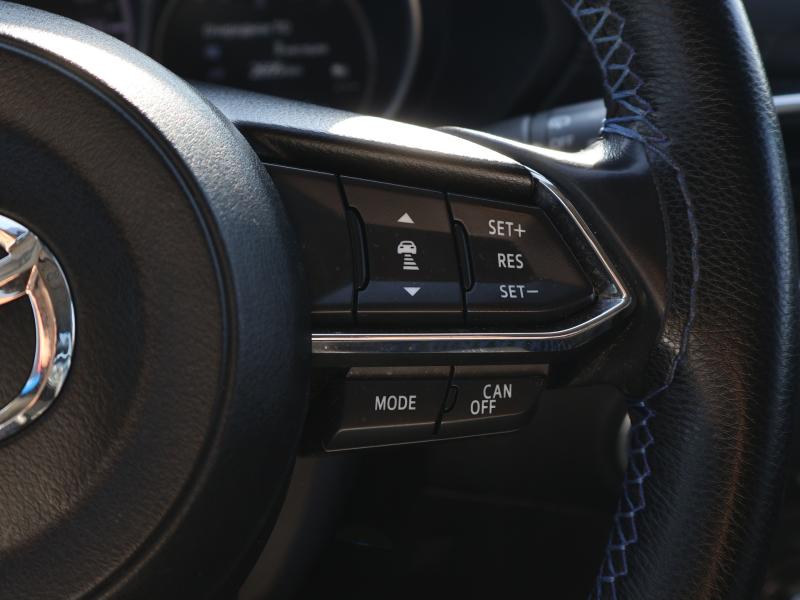 Car Thumb