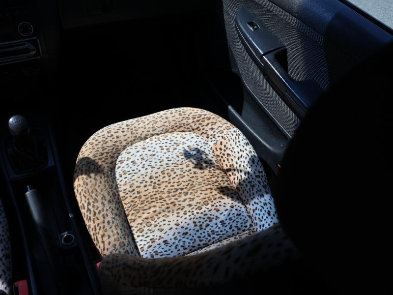 Car Thumb