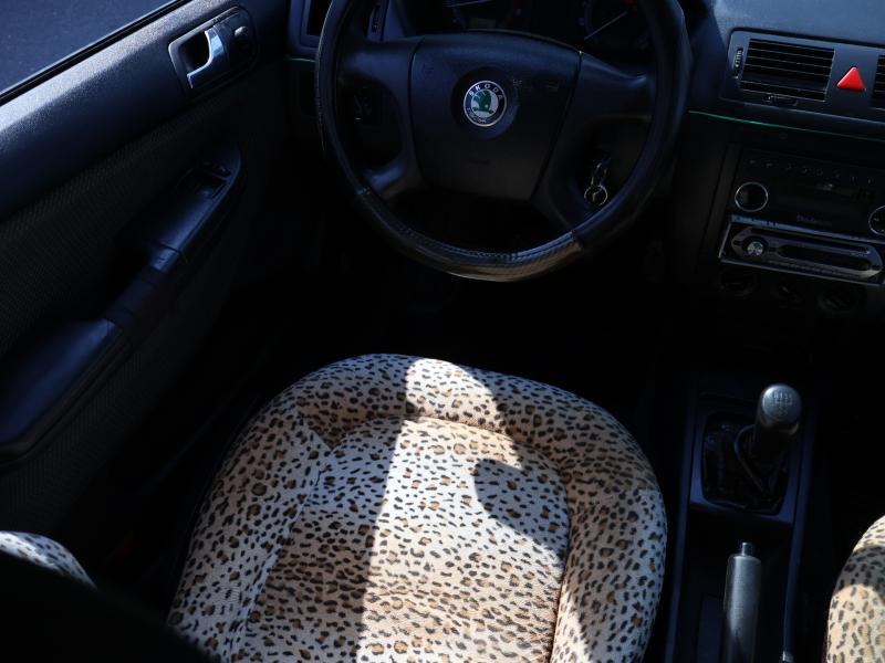 Car Thumb
