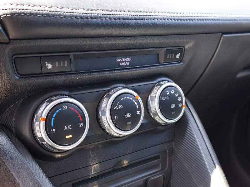 Car Thumb