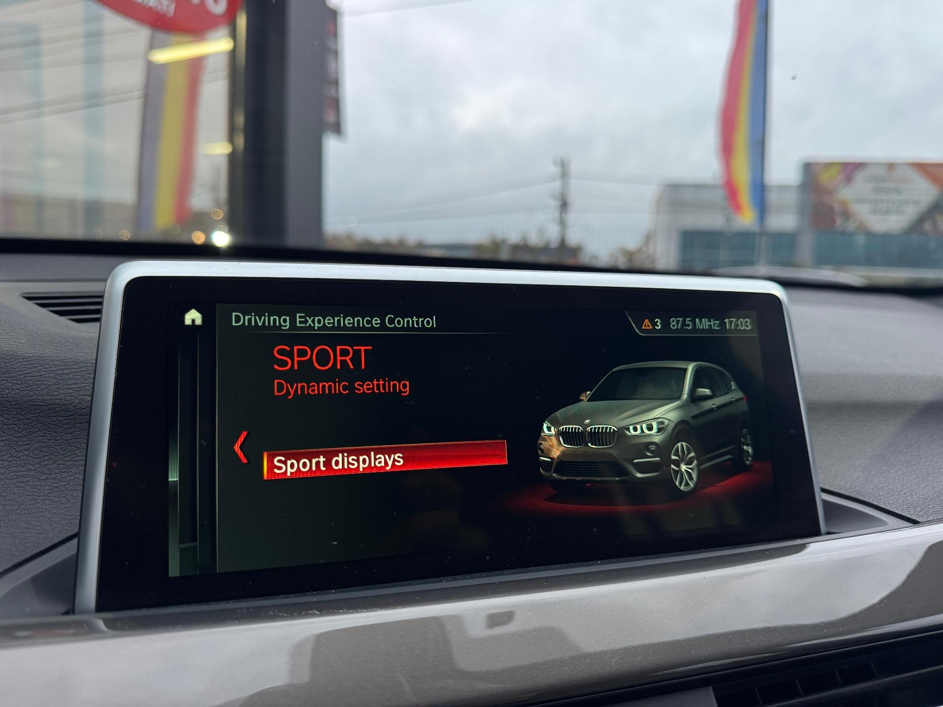 BMW-X1