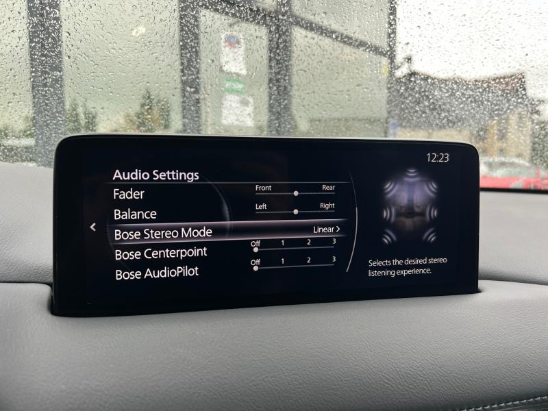 Car Thumb